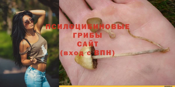 гидропоника Абаза