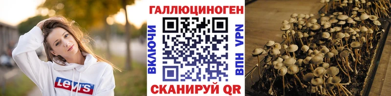 Псилоцибиновые грибы GOLDEN TEACHER купить сайты Кашира
